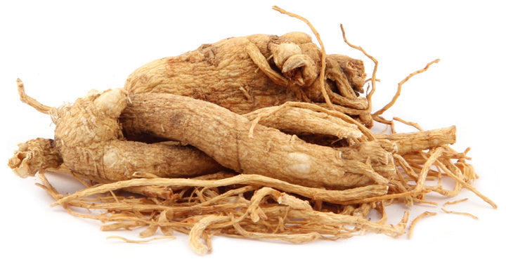 Panax Ginseng (Korean Ginseng) – The Emperor's Herb of Vitality & Longevity