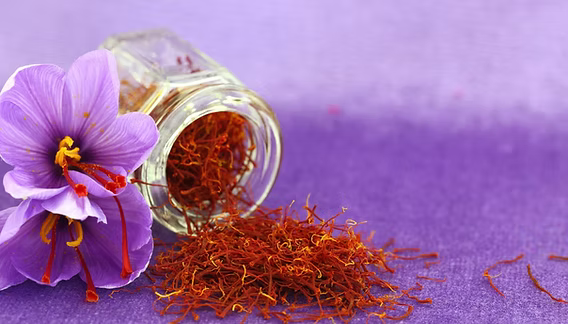 Saffron Extract (Crocus sativus) – The Golden Threads of Beauty & Bliss