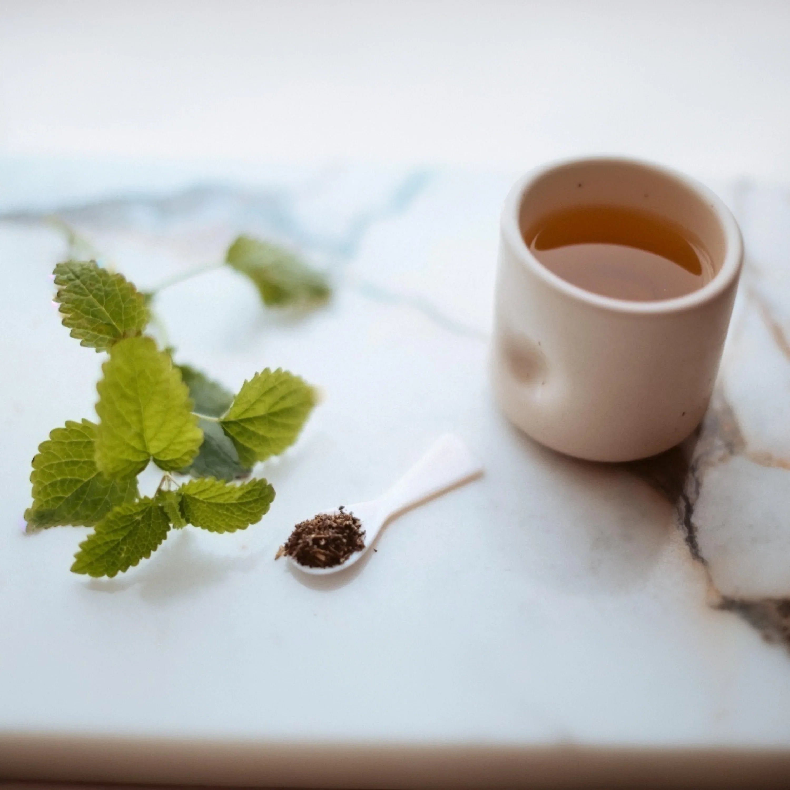 Lemon Balm (Melissa officinalis) – The Calming Herb of Joy & Tranquility
