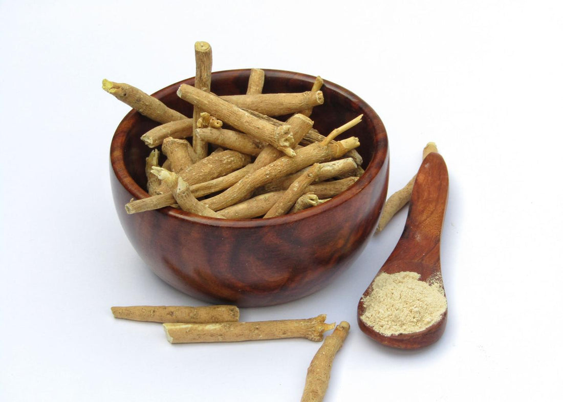 Ashwagandha (Withania somnifera) – The Root of Strength & Resilience