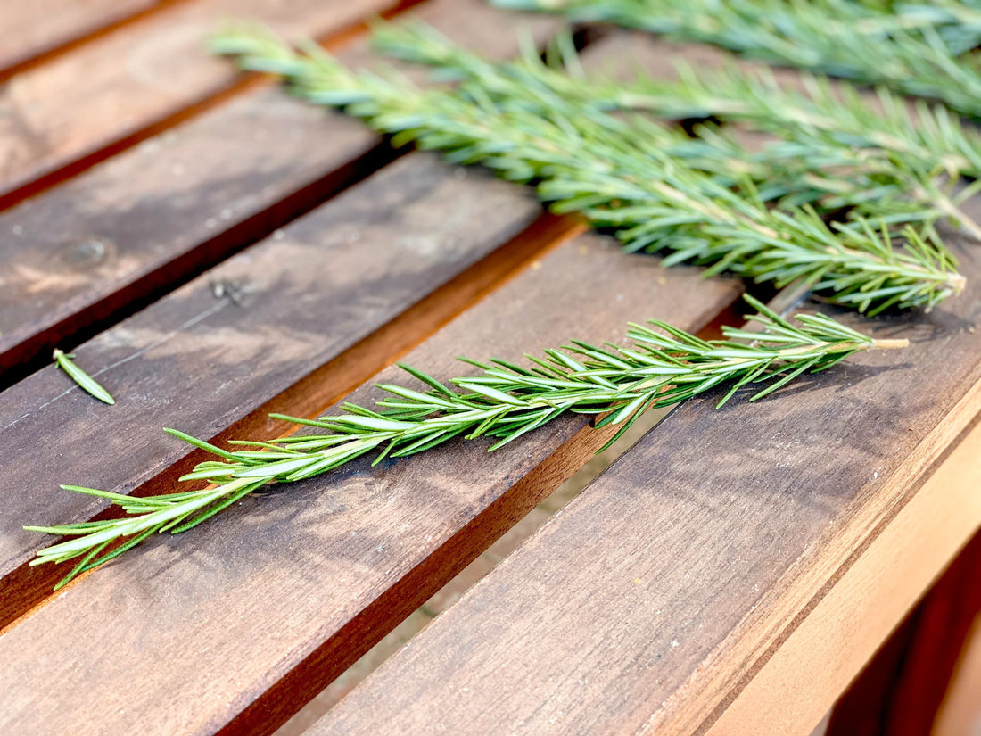 Rosemary (Rosmarinus officinalis) – The Herb of Remembrance & Vitality